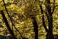 2019_10_14 (0033)